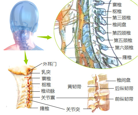 中医诊断疾病的基